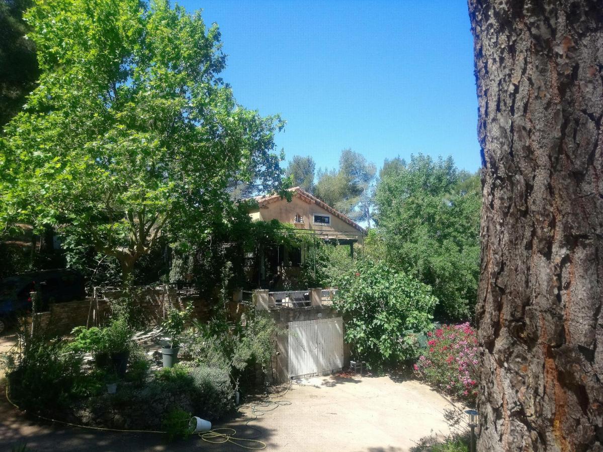 Maison De Charme Avec Piscine Et Jacuzzi Dans Cadre Exceptionnel Proche Marseille Mirabeau Esterno foto